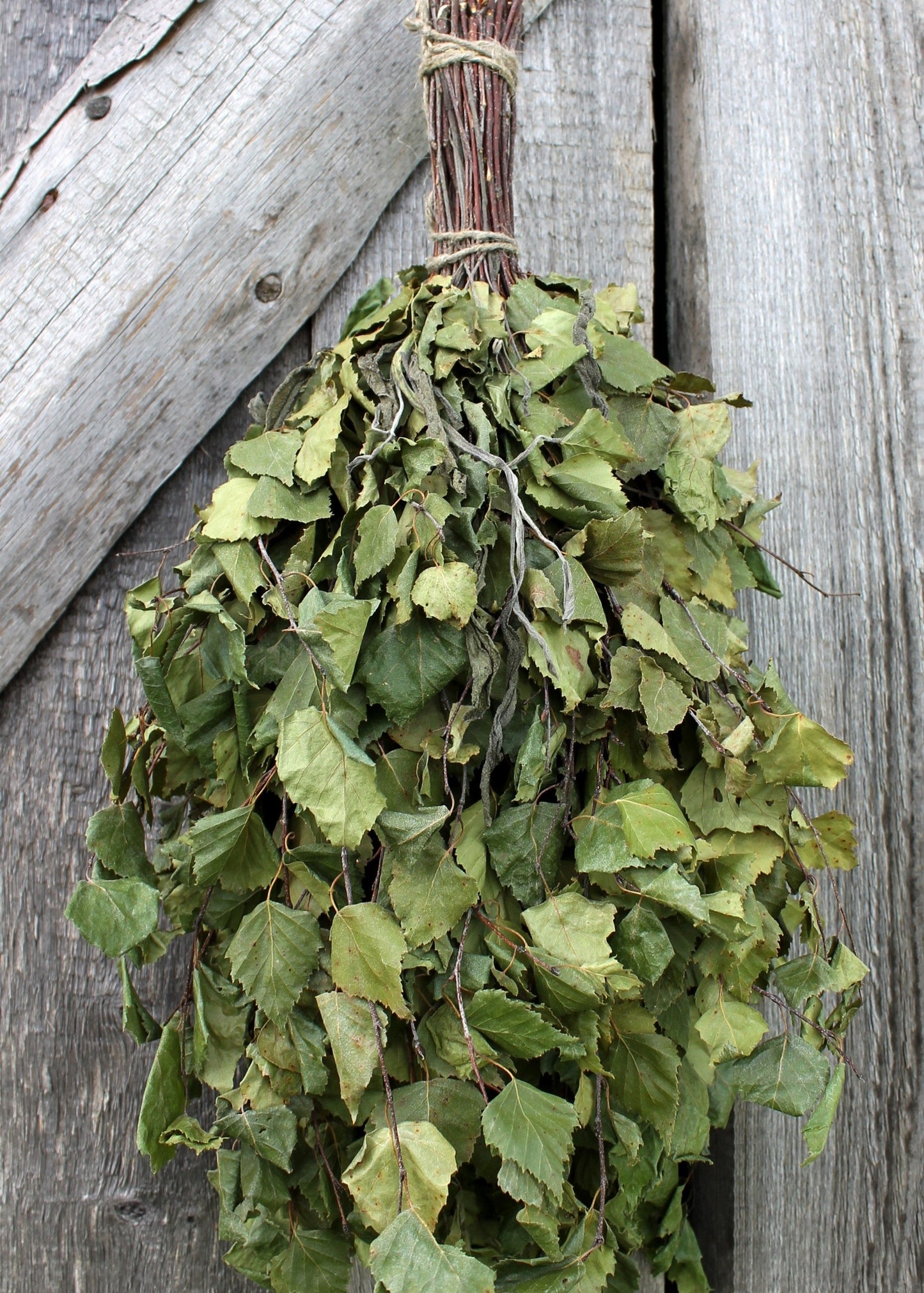 Birch-Sage Whisk