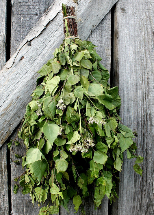  Birch-Valerian Whisk