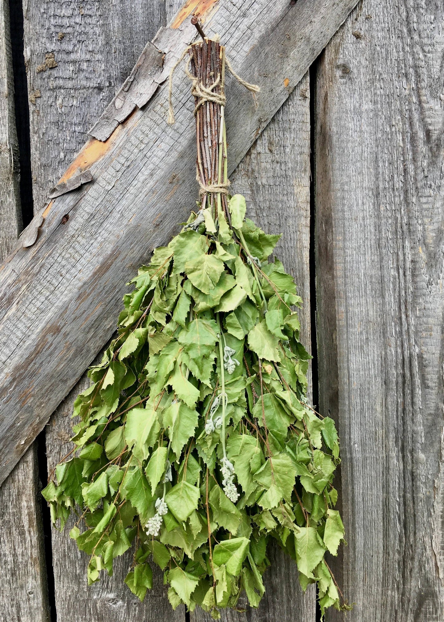 Birch-Lemon balm Whisk