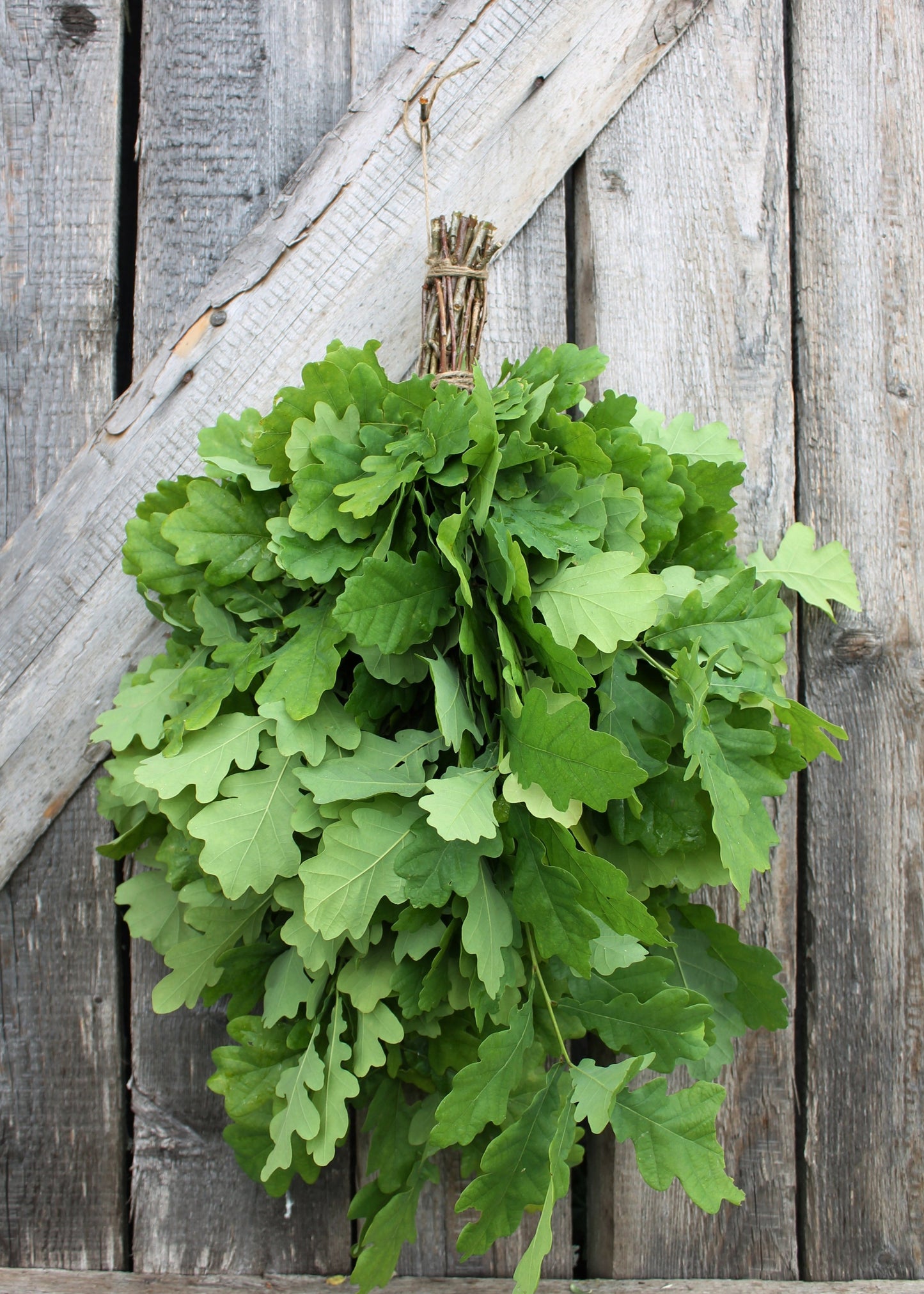 Oak-Whisk