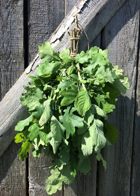 Oak-Mint Whisk
