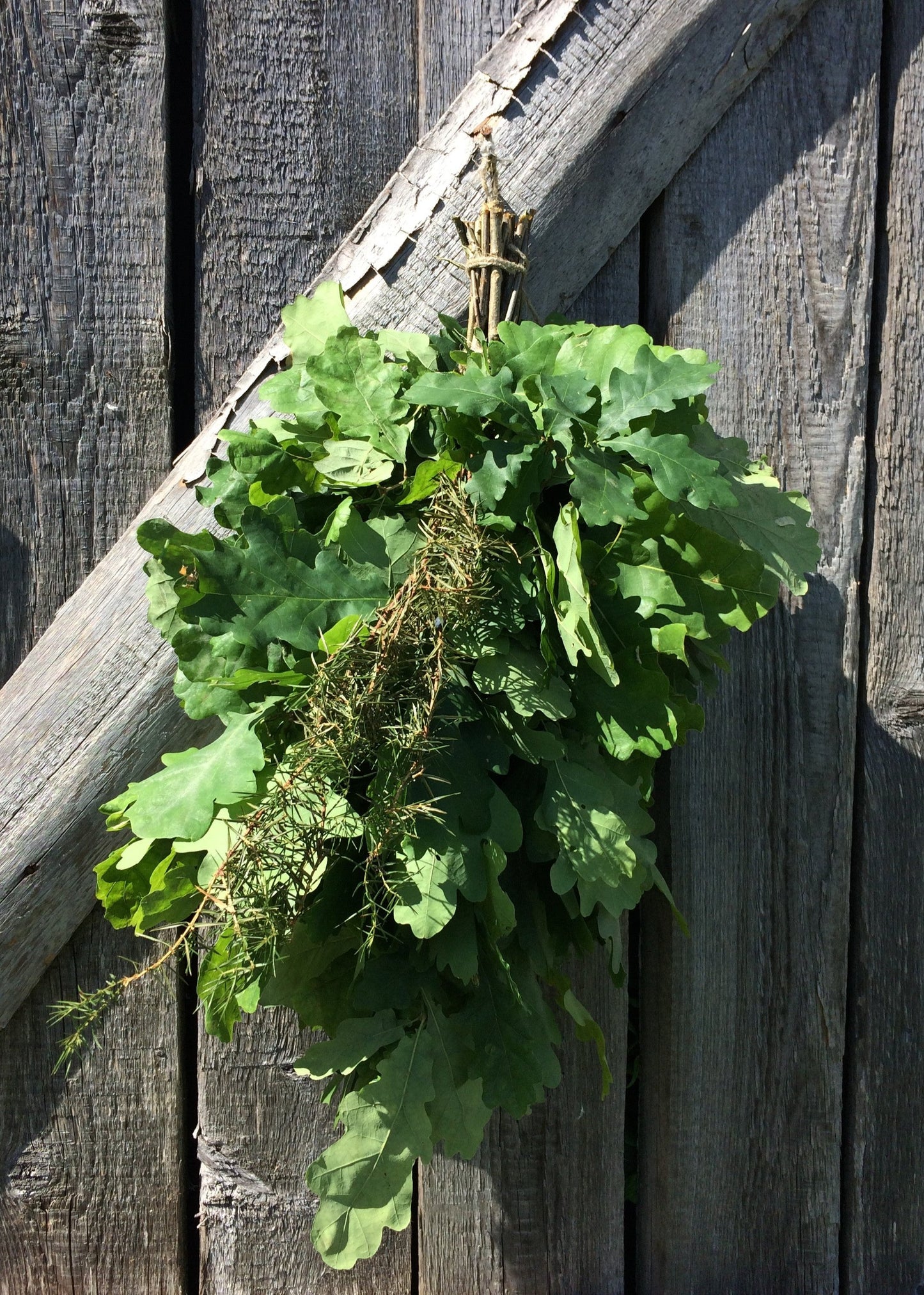 Oak-Juniper Whisk