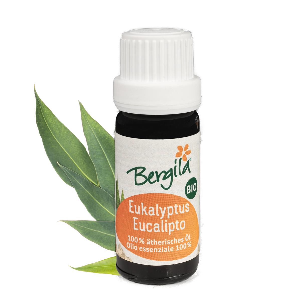 Eukalyptus Bio ätherisches Öl