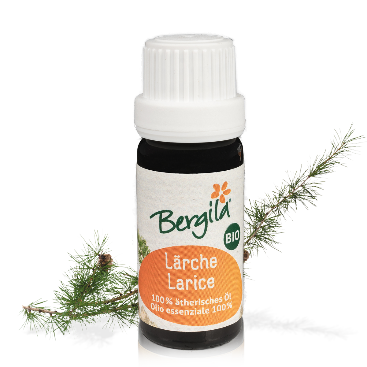Larch organic essential oil