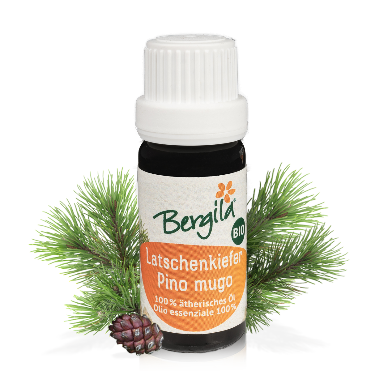 Mountain pine organic essential oil