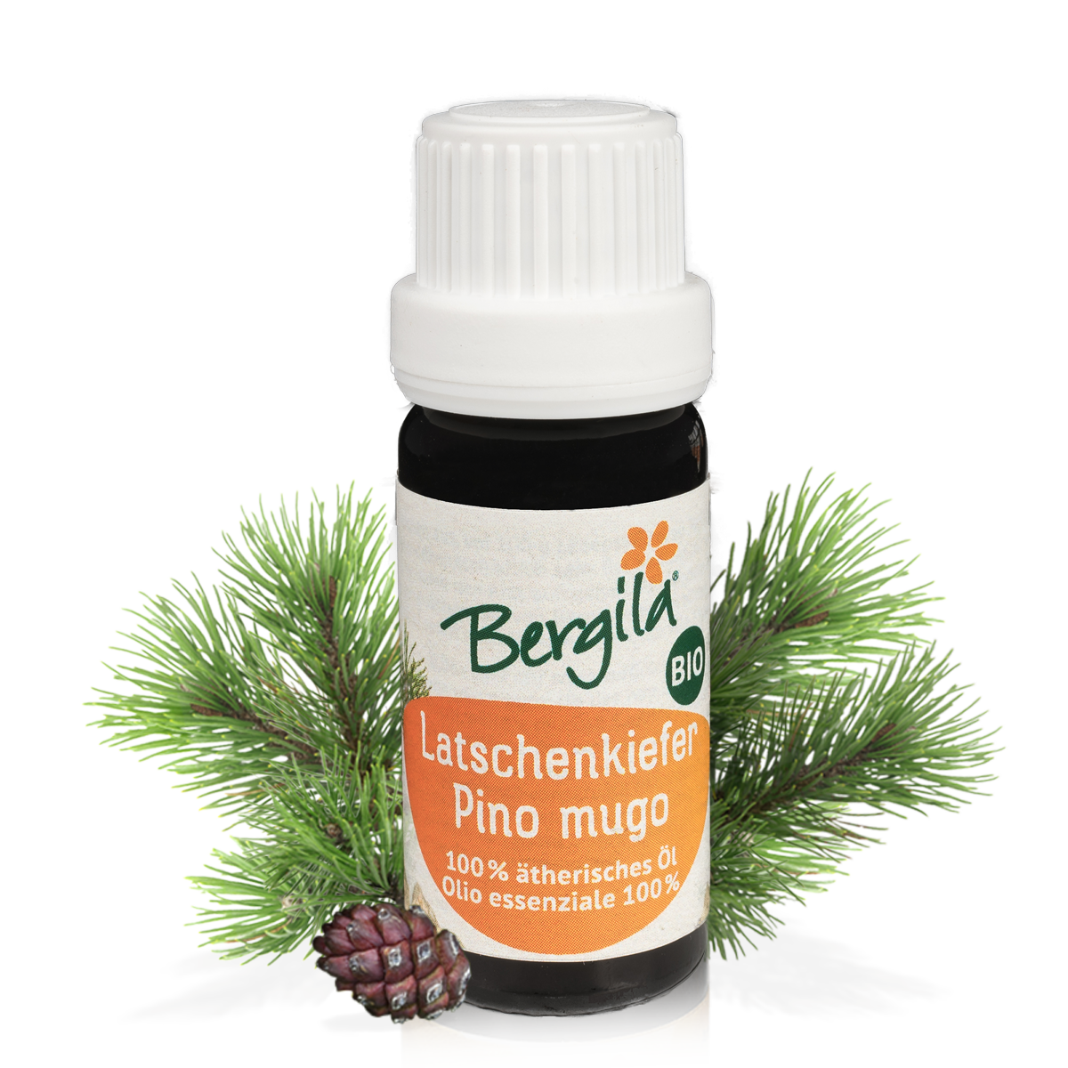 Pino mugo bio olio essenziale