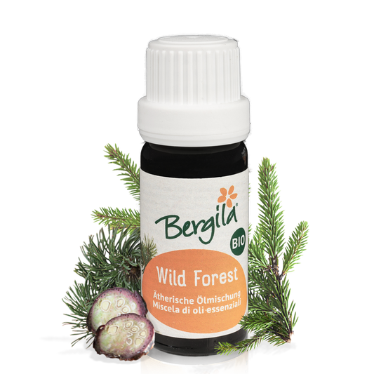 Wild Forest essential oil mix organic