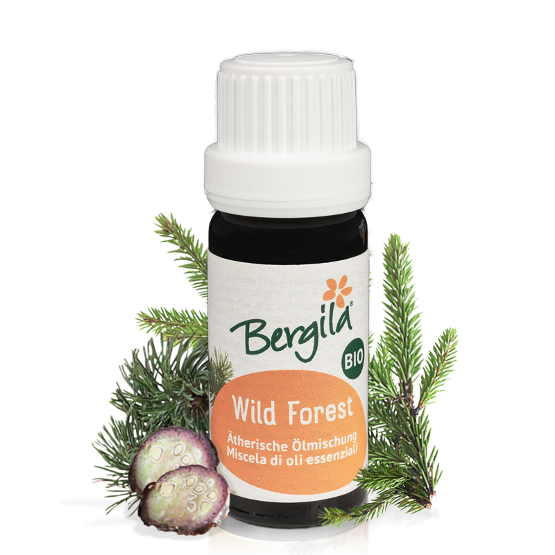 Wild Forest Bio ätherische Ölmischung