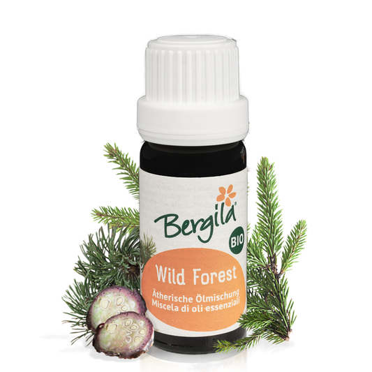 Wild Forest Bio ätherische Ölmischung